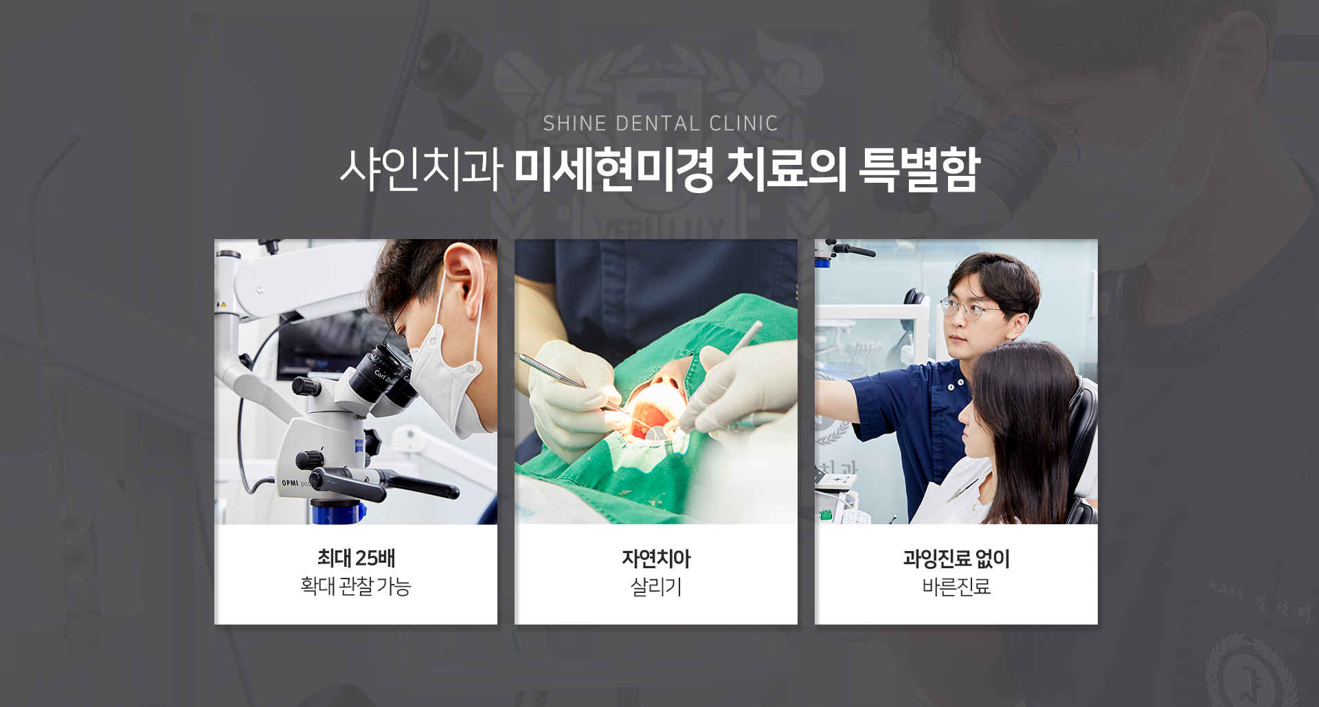 미세현미경-치료의-특별한-최대-25배-확대-관찰-가능-자연치아-살리기-과잉진료-없이-바른-진료