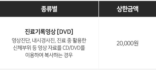 진료기록영상-DVD