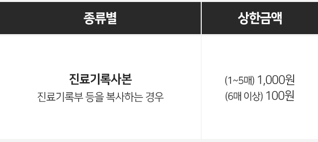 진료기록사본
